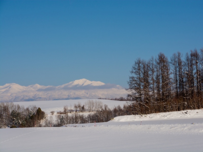 大雪山