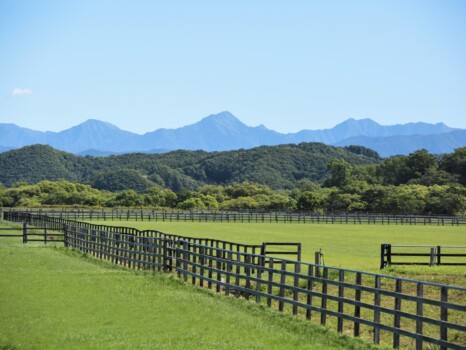 北海道の風景「日高山脈と牧場」（北海道新ひだか町）