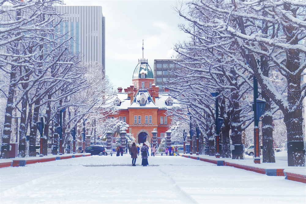 札幌の冬