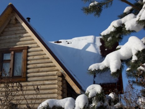 beautiful wooden home in winter of the Christmas tree