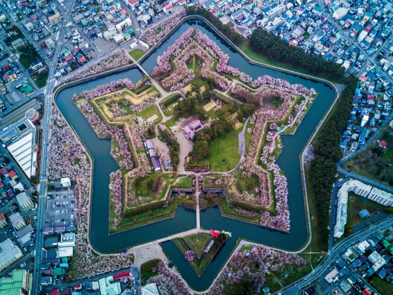 花が咲く砦五稜郭の空中平面図星型の敵から都市を守るために建設。北海道函館を訪れるのは有名な場所です