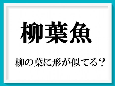 「柳葉魚」読める？アイヌ文化とのかかわりも深い「日本人に大人気の魚」名前は…【難読漢字クイズ】