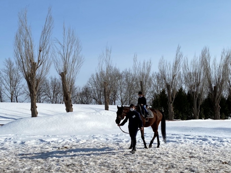北海道で乗馬体験