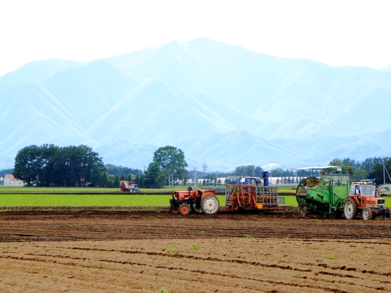 北海道の農作業