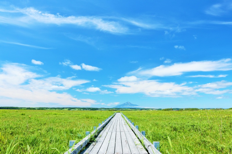 北海道　夏の青空とサロベツ原野
