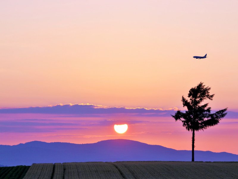 北海道　夕暮れの大地と飛行機