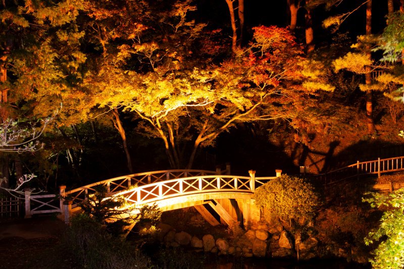 日本の紅葉～夜景、橋を入れて　函館市香雪園（見晴公園）にて
