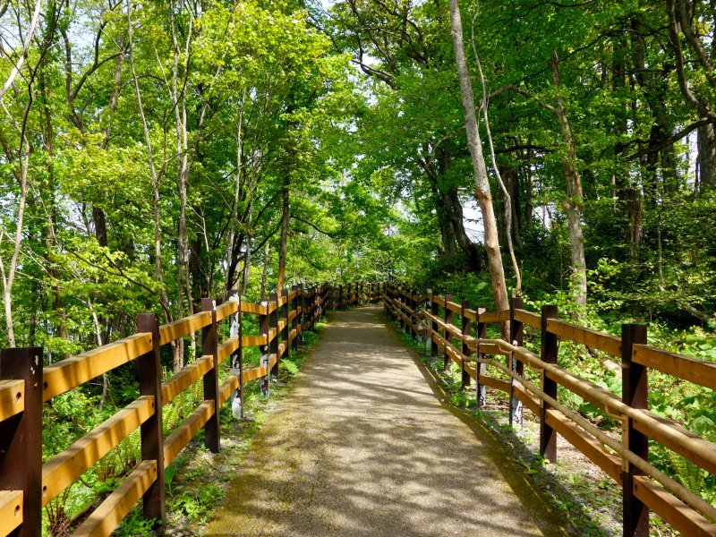 北海道旭川市　嵐山展望台への散策路