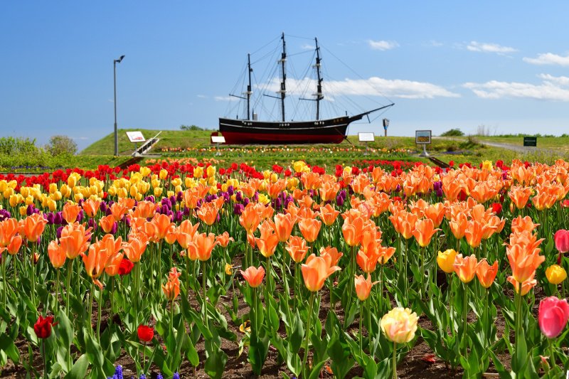 快晴の北海道木古内町でサラキ岬公園の春の風景を撮影