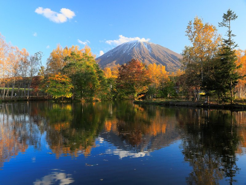 北海道倶知安町の羊蹄山と紅葉の姿見の池