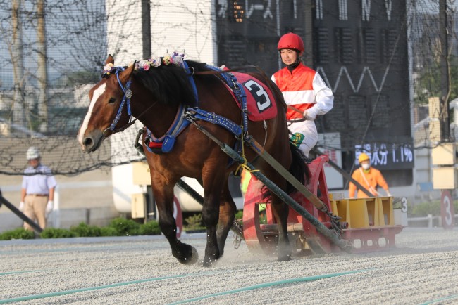 中村騎手　レース中