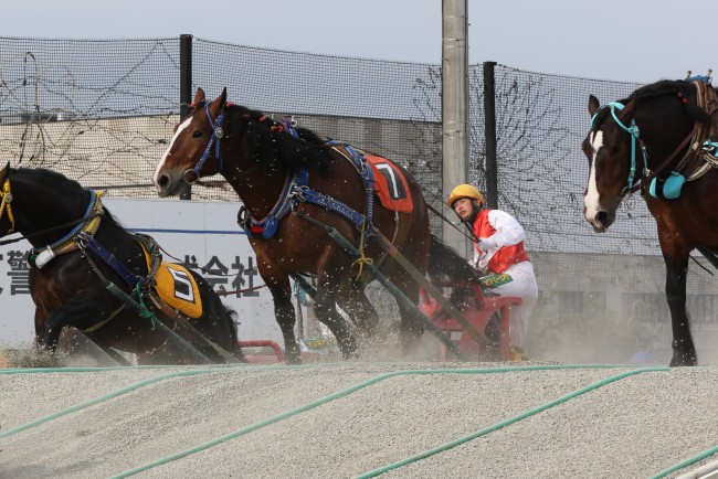 中村騎手　レース内の障害を越える様子