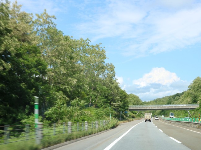 高速道路から見える風景