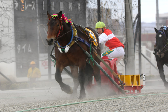 中村太陽騎手　100勝記念