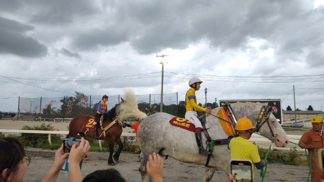 エキシビションレースのスタート地点へと向かう、菱田騎手と横山騎手が騎乗するばん馬