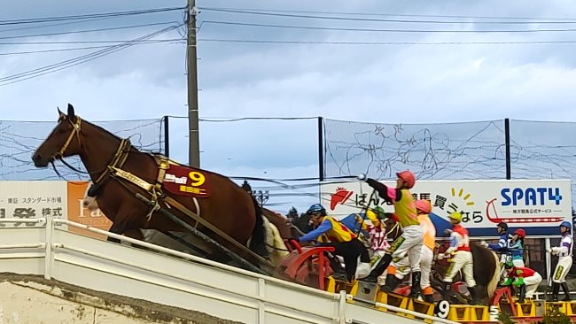 エキシビションレースで第二障害となる坂を登る菱田騎手