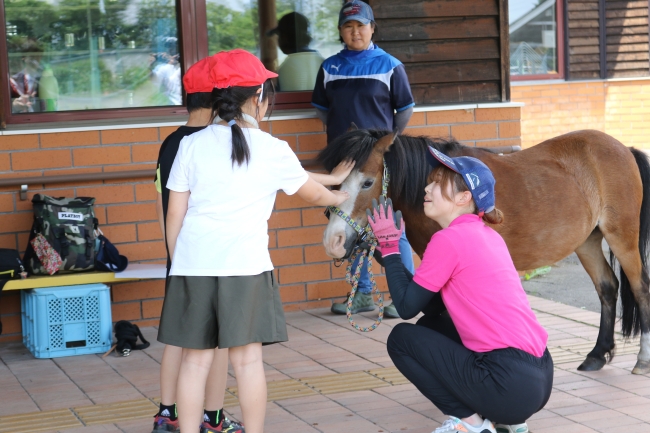 清川小学校馬ふれあい