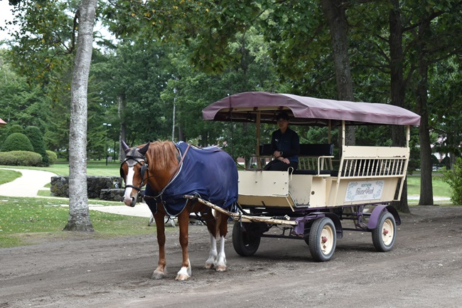 観光馬車