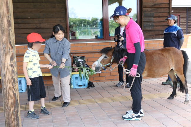 清川小学校馬ふれあい