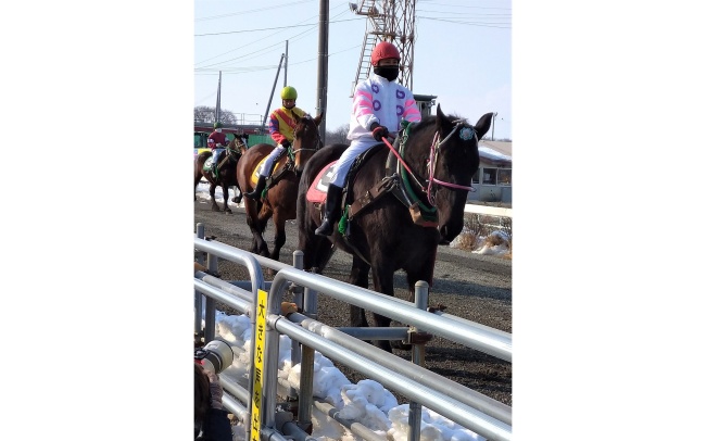 ばん馬に乗っている様子