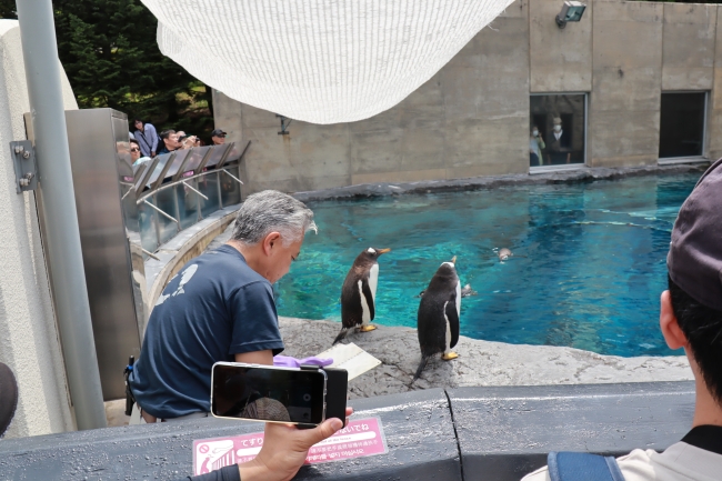 ペンギンもぐもぐタイム