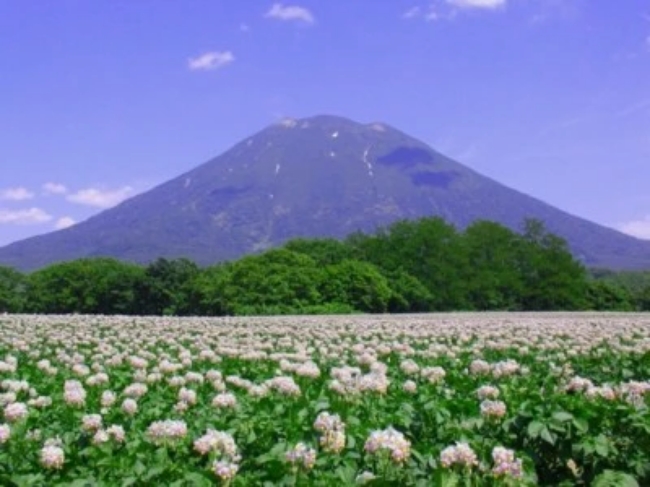 夏の羊蹄山