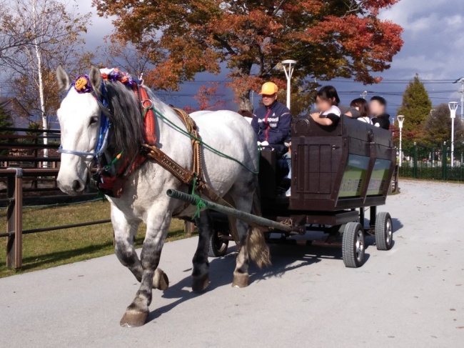 ばん馬馬車運行