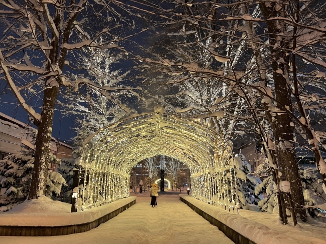 7条緑道　光のトンネル