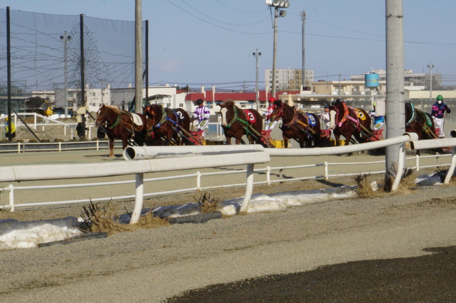 ばんえい競馬　レース　第1障害