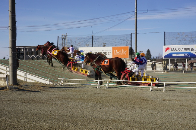 ばんえい競馬　レース　第二障害