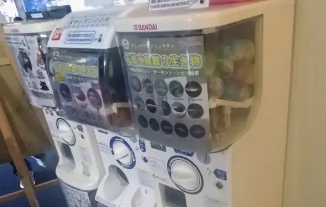 売店前のガチャガチャ