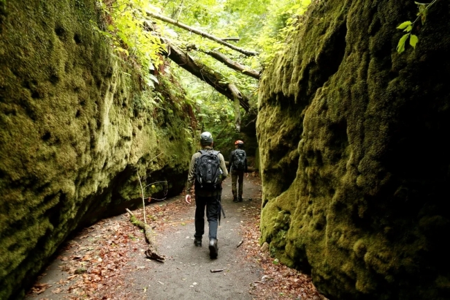 「苔の回廊 楓沢(かえでさわ)ツアー付き」宿泊プラン