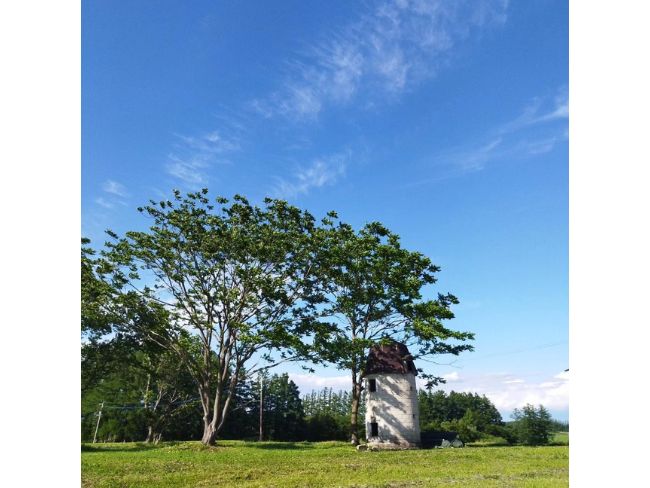 サイロ　栗の木　青空