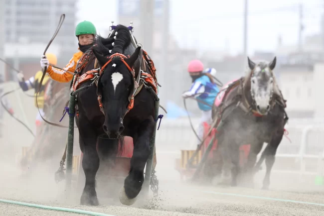 ばんえい競馬を知る