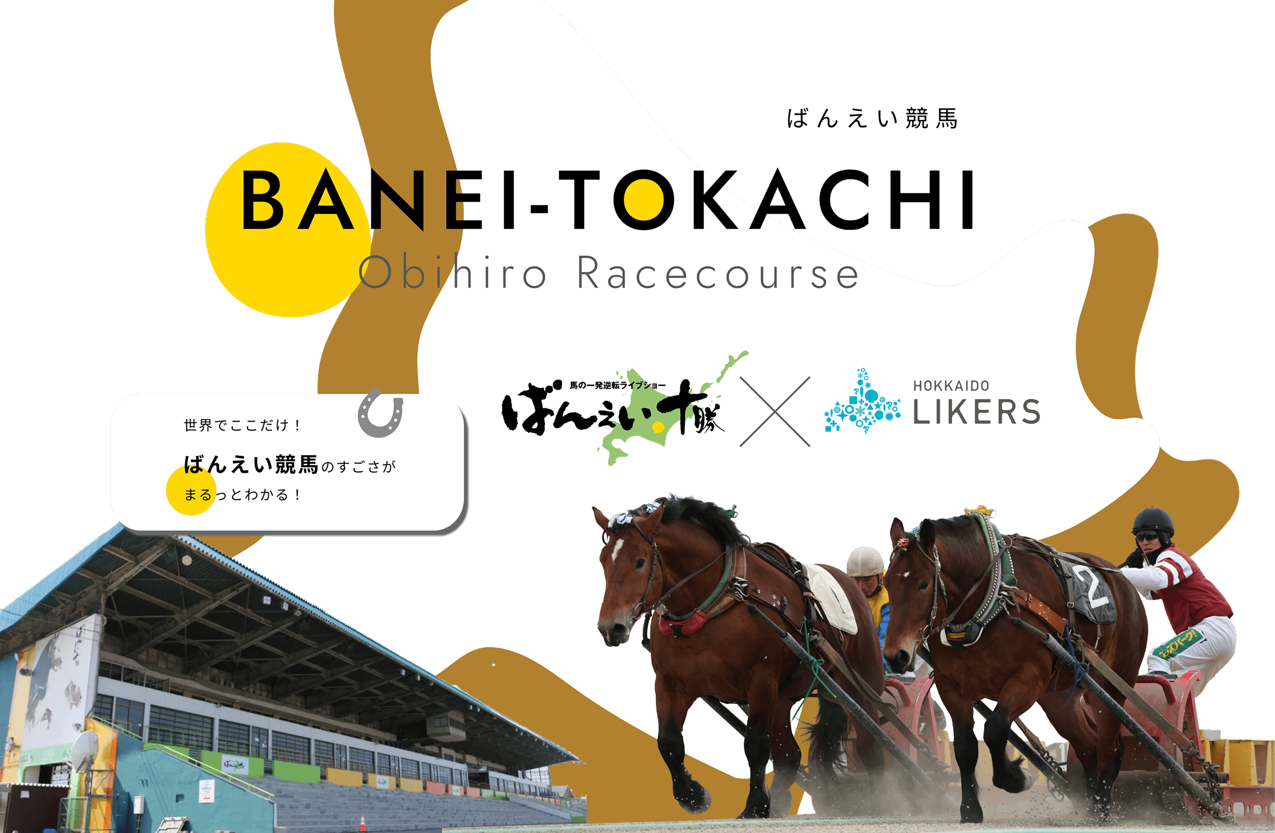 ばんえい競馬 世界でここだけ!ばんえい競馬の凄さがまるっとわかる!