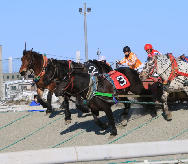 ばんえい競馬のレース