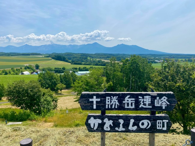 日の出公園ラベンダー園十勝岳連邦