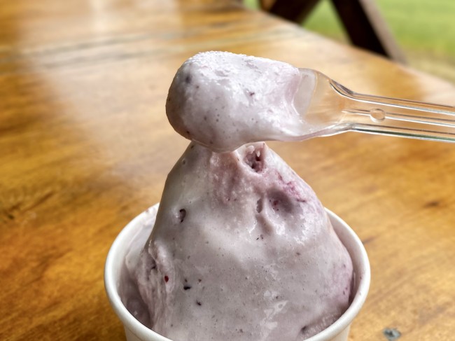スプーンで掬い上げたハスカップジェラート