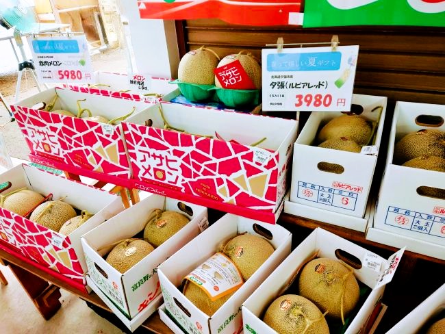 たくさんのメロン