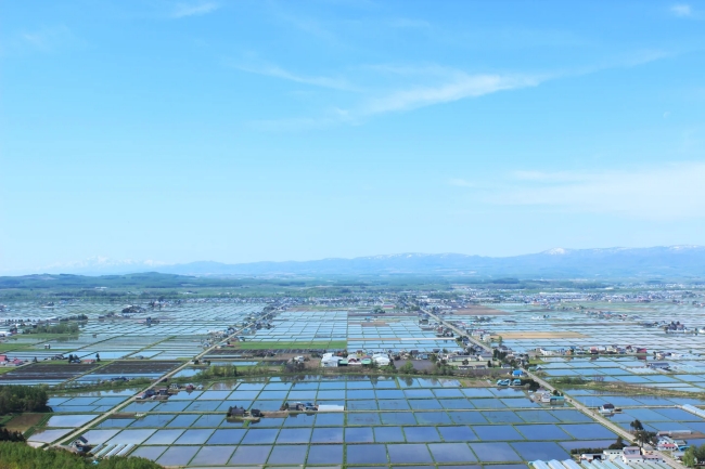 東川町