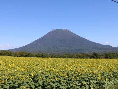 羊蹄山