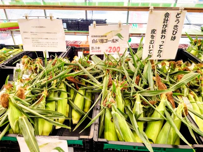白い恵味