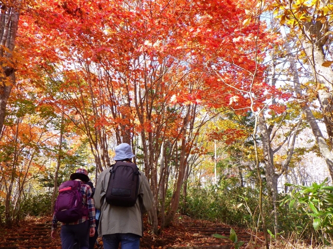 森の遠足「滝野の歴史と紅葉めぐり」