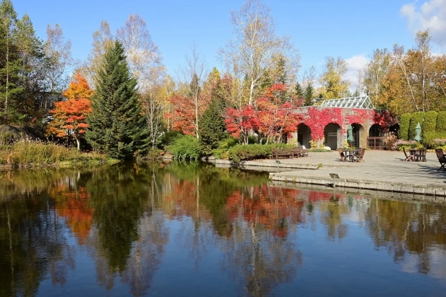 水鏡に映る紅葉を見よう