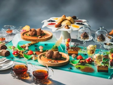 STREAM Afternoon Tea ～Wonder Forest（ワンダーフォレスト）～