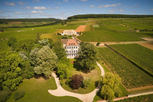 ルイ・ラトゥール　シャトー・コルトン・グランセイ