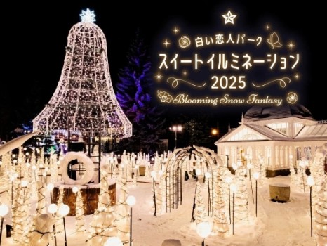 白い恋人パーク スイートイルミネーション2025～Blooming Snow Fantasy～