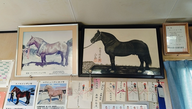 ダイヤテンリュウ