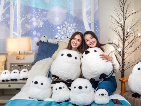雪の妖精「シマエナガ」と過ごす､とことん！シマエナガ旅