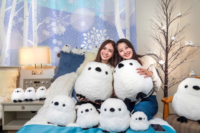 雪の妖精「シマエナガ」と過ごす､とことん！シマエナガ旅